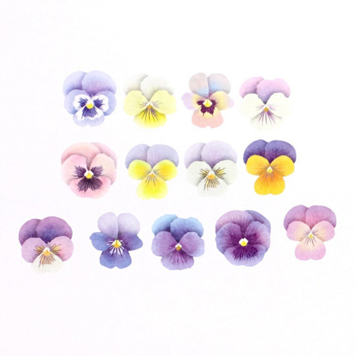 BANDE Viola Stickers Japanese Washi Roll Stickers