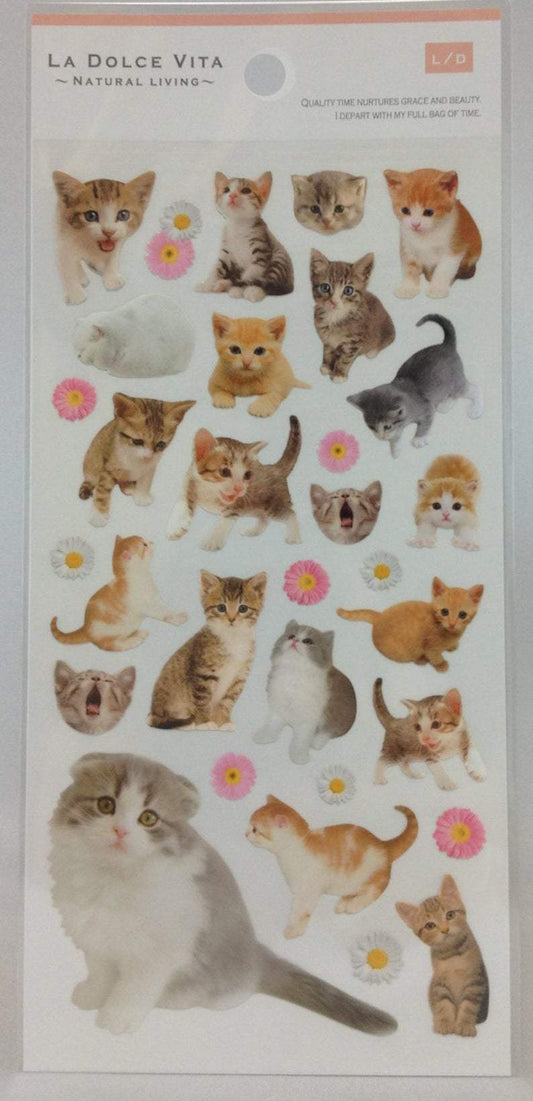Cat stickers - Boutique SWEET BIRDIE