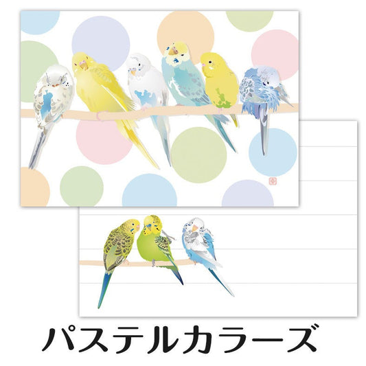 Budgie Budgerigar Parakeet Memo Pad (cm140) - Boutique SWEET BIRDIE