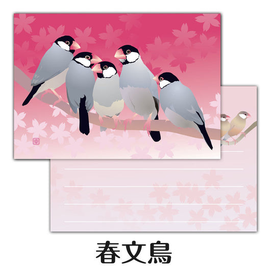 Creative Motion Java Sparrow Memo Pad (cm142) - Boutique SWEET BIRDIE