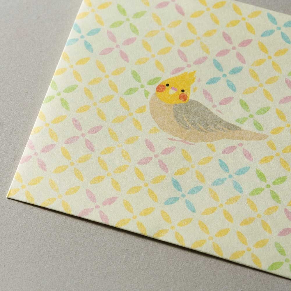 Sets of 3 Bird Mini Envelopes Square Cockatiel Budgie Budgerigar Parakeet 1359001 - Boutique SWEET BIRDIE