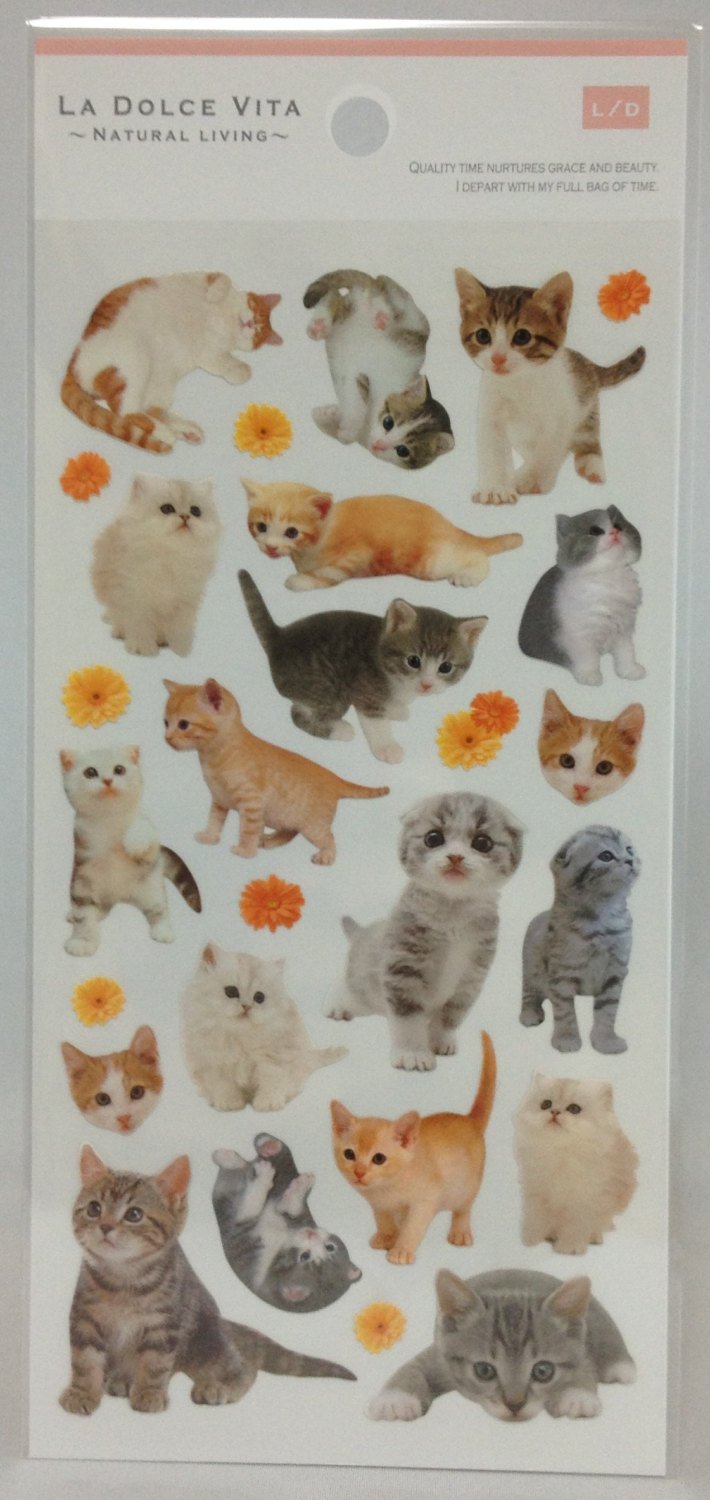 Cat Stickers - Boutique SWEET BIRDIE